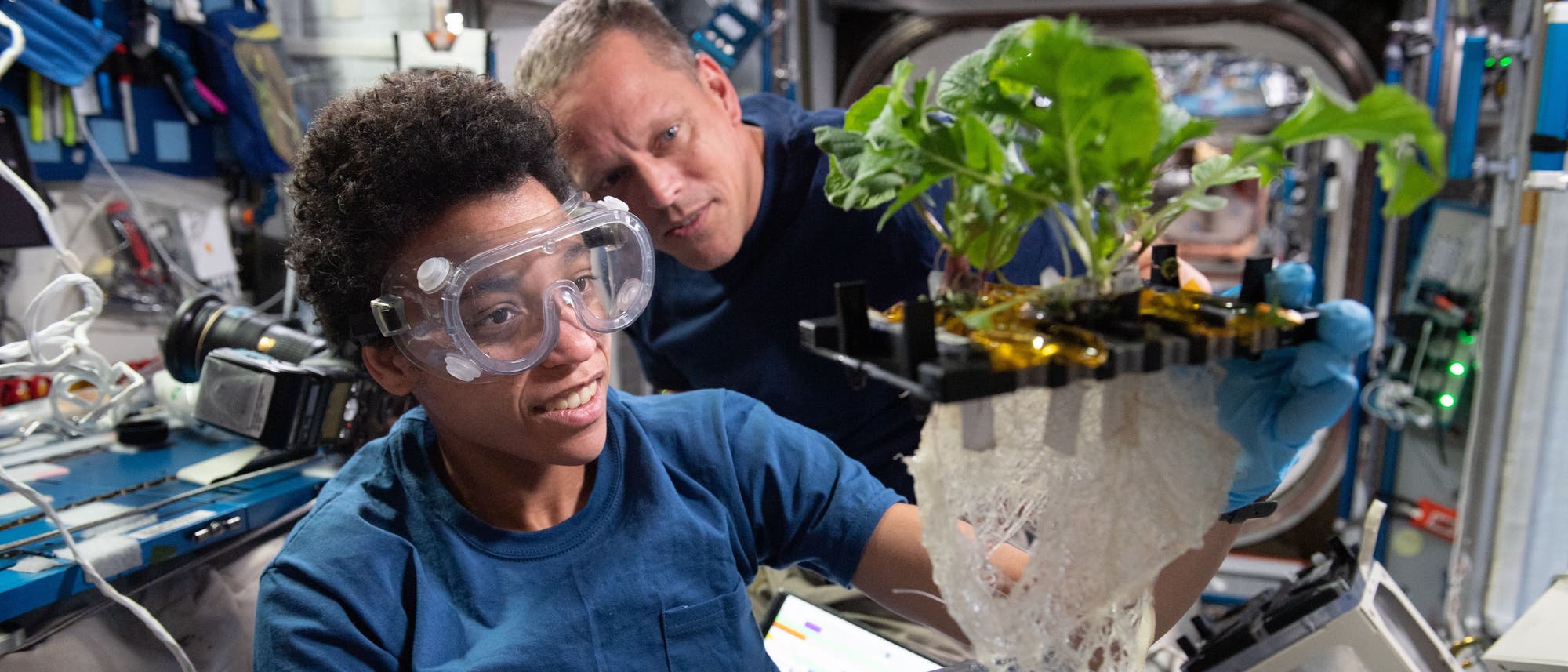 Zwei Personen in einem Raumanzuglabor auf einer Raumstation untersuchen eine Pflanze, die in einem speziellen Anbausystem w&auml;chst. Eine Person tr&auml;gt Schutzbrillen und h&auml;lt die Pflanze, w&auml;hrend die andere Person interessiert zuschaut. Im Hintergrund sind technische Ger&auml;te und Kabel zu sehen. Die Szene zeigt wissenschaftliche Experimente zur Pflanzenzucht im Weltraum.