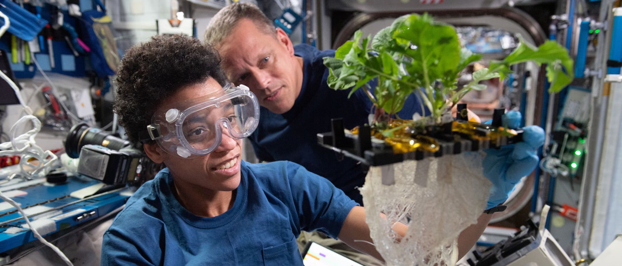 Zwei Personen in einem Raumanzuglabor auf einer Raumstation untersuchen eine Pflanze, die in einem speziellen Anbausystem w&auml;chst. Eine Person tr&auml;gt Schutzbrillen und h&auml;lt die Pflanze, w&auml;hrend die andere Person interessiert zuschaut. Im Hintergrund sind technische Ger&auml;te und Kabel zu sehen. Die Szene zeigt wissenschaftliche Experimente zur Pflanzenzucht im Weltraum.