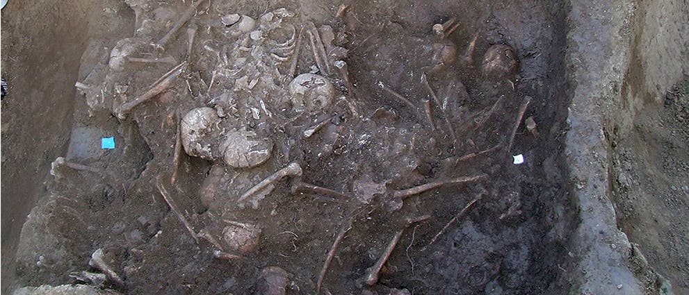 41 Kinder und Erwachsene starben vor 6200 Jahren.