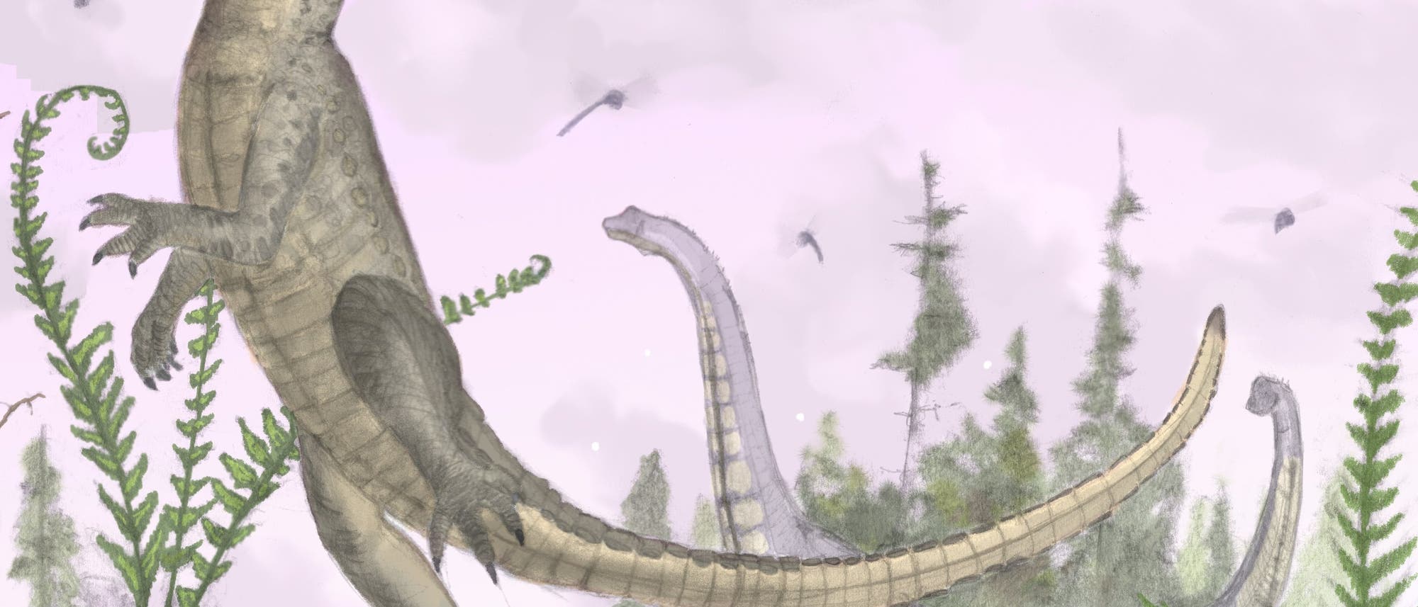 Fossiles Krokodil