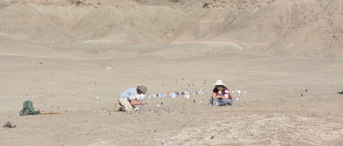 Zwei Personen arbeiten in einer trockenen, wüstenartigen Landschaft. Sie sind von kleinen, bunten Fahnen umgeben, die Markierungen für eine archäologische oder geologische Untersuchung darstellen. Im Hintergrund sind sandige Hügel zu sehen. Beide Personen tragen Hüte zum Schutz vor der Sonne. Ein Rucksack liegt in der Nähe.