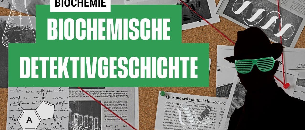 Geheime Treffen von Proteinen: eine biochemische Detektivgeschichte (M