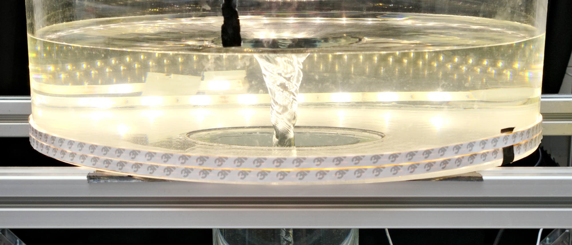 Un tanque de agua redondo y transparente con una vértebra de agua visible en el medio. El tanque está rodeado por una barra de luz LED que garantiza una iluminación uniforme. Las vértebras se extienden desde la superficie del agua hasta el fondo del tanque. La estructura está en una estructura metálica. Un tanque de agua redondo y transparente con una vértebra de agua visible en el medio. El tanque está rodeado por una barra de luz LED que garantiza una iluminación uniforme. Las vértebras se extienden desde la superficie del agua hasta el fondo del tanque. La estructura está en una estructura metálica.