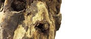 Kopf einer ägyptischen Mumie