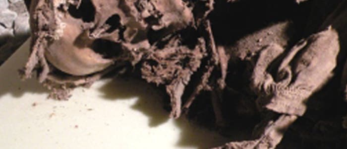 Natürliche Mumien in Dorfkirche entdeckt