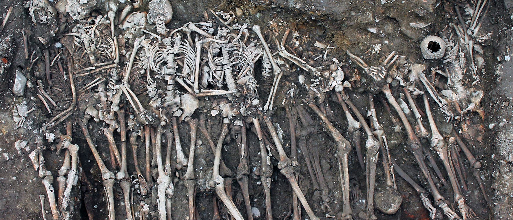 Ein gut drei Meter langer Graben enthielt mindestens 28 Skelette. Die Toten stammten nicht aus der Bretagne, vermutlich gehörten sie zum Heer König Karls.