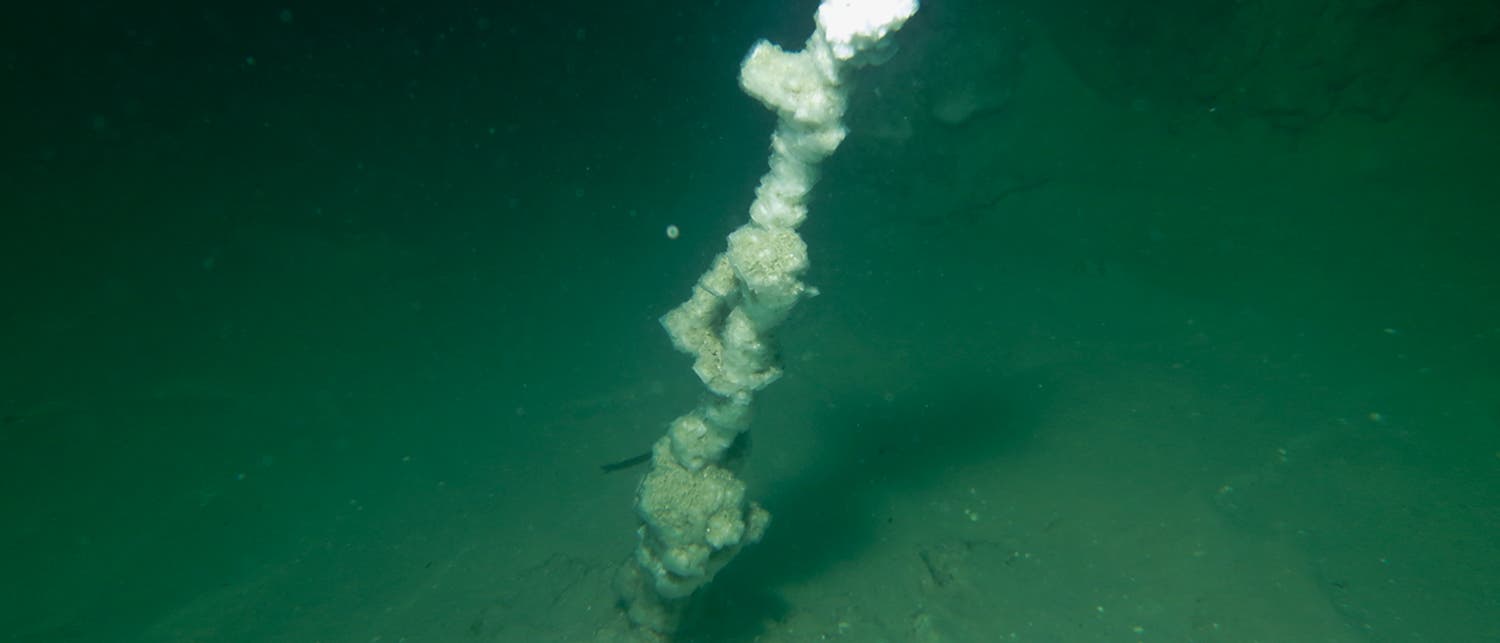 Aus dem schlammigen Untergrund ragt eine Salzsäule hervor: Der Boden wie der untere Teil der Säule ist grünlich, an der Spitze strahlt sie weiß. Der Hintergrund wird von der Bildmitte nach oben zunehmend dunkel.