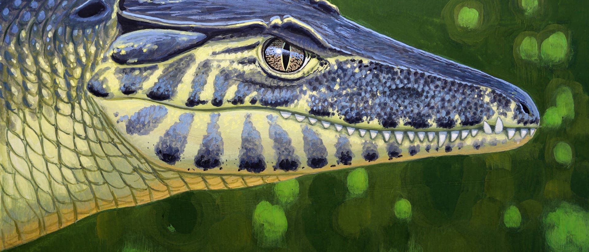 Eine k&uuml;nstlerische Darstellung eines Krokodils, die den Kopf des Tieres in Seitenansicht zeigt. Die detaillierte Malerei hebt die Textur der Haut und die Musterung hervor, w&auml;hrend der Hintergrund in verschiedenen Gr&uuml;nt&ouml;nen gehalten ist, was eine nat&uuml;rliche Umgebung suggeriert. Das Bild vermittelt einen Eindruck von Ruhe und Wildnis.