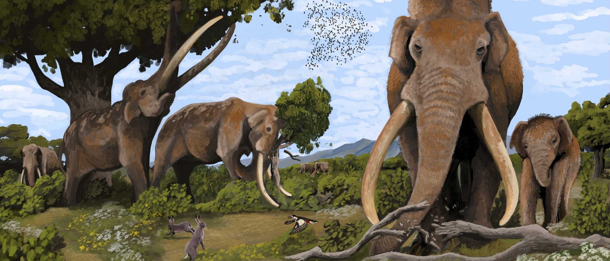 Eine k&uuml;nstlerische Darstellung einer pr&auml;historischen Landschaft mit mehreren gro&szlig;en, elefanten&auml;hnlichen Tieren mit langen Sto&szlig;z&auml;hnen, die in einer gr&uuml;nen, bewaldeten Umgebung stehen. Im Vordergrund sind zwei Hasen und ein Vogel zu sehen. Der Himmel ist blau mit wei&szlig;en Wolken, und im Hintergrund sind Berge sichtbar. Die Szene vermittelt ein Gef&uuml;hl von nat&uuml;rlicher Harmonie und urzeitlicher Wildnis.