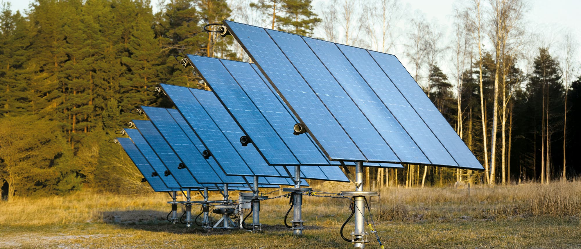 Eine Reihe von Solarpaneelen steht auf einem Feld, umgeben von B&auml;umen. Die Paneele sind in einem Winkel aufgestellt, um das Sonnenlicht optimal einzufangen. Im Hintergrund sind kahle B&auml;ume und ein bewaldeter Bereich zu sehen. Die Szene vermittelt einen Eindruck von nachhaltiger Energieerzeugung in einer nat&uuml;rlichen Umgebung.