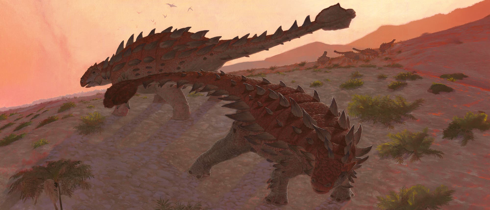 Eine k&uuml;nstlerische Darstellung von zwei gepanzerten Dinosauriern in einer pr&auml;historischen Landschaft. Die Dinosaurier haben robuste K&ouml;rper mit gro&szlig;en, spitzen Knochenplatten entlang ihrer R&uuml;cken und Schw&auml;nze. Die Umgebung ist trocken und felsig, mit vereinzelten Grasb&uuml;scheln. Der Himmel im Hintergrund ist in warmen T&ouml;nen gehalten, was auf einen Sonnenuntergang hindeutet.