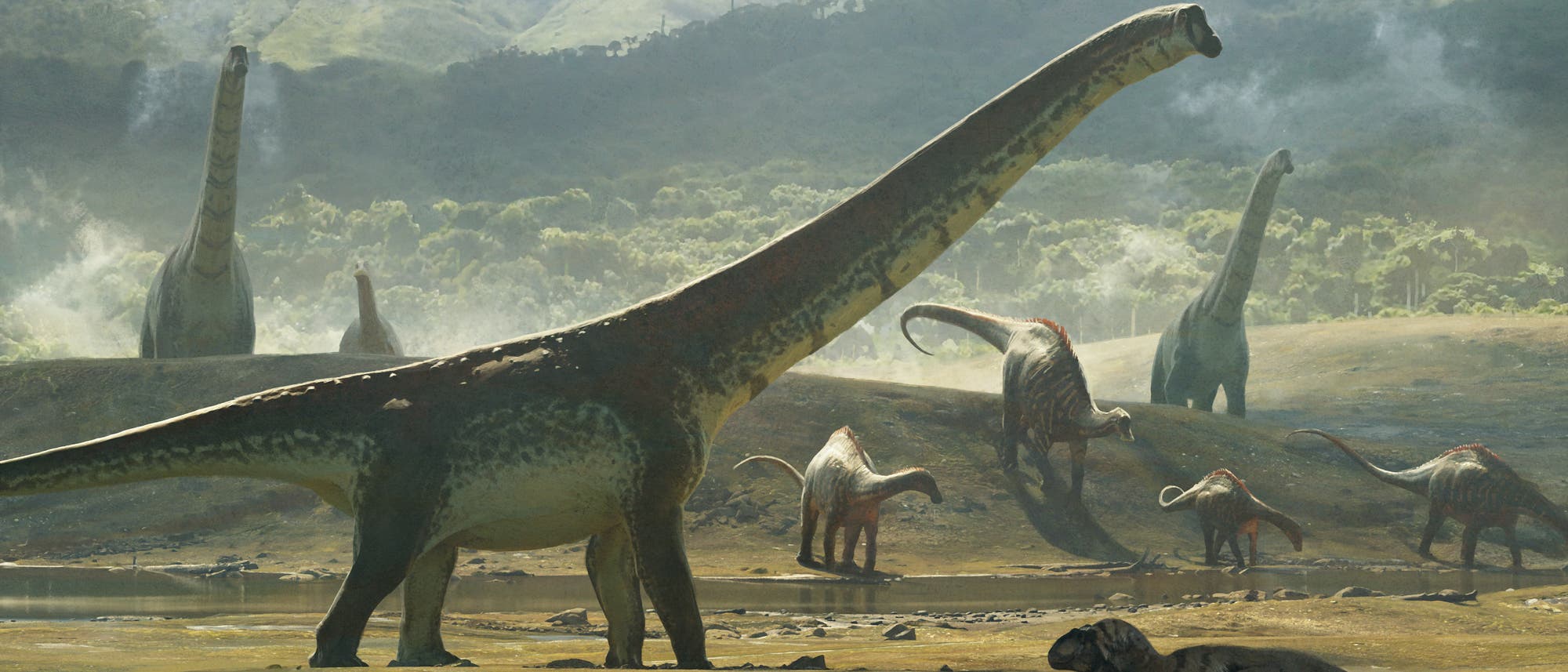 Animation zeigt mehrere Sauropoden mit langen Hälsen 