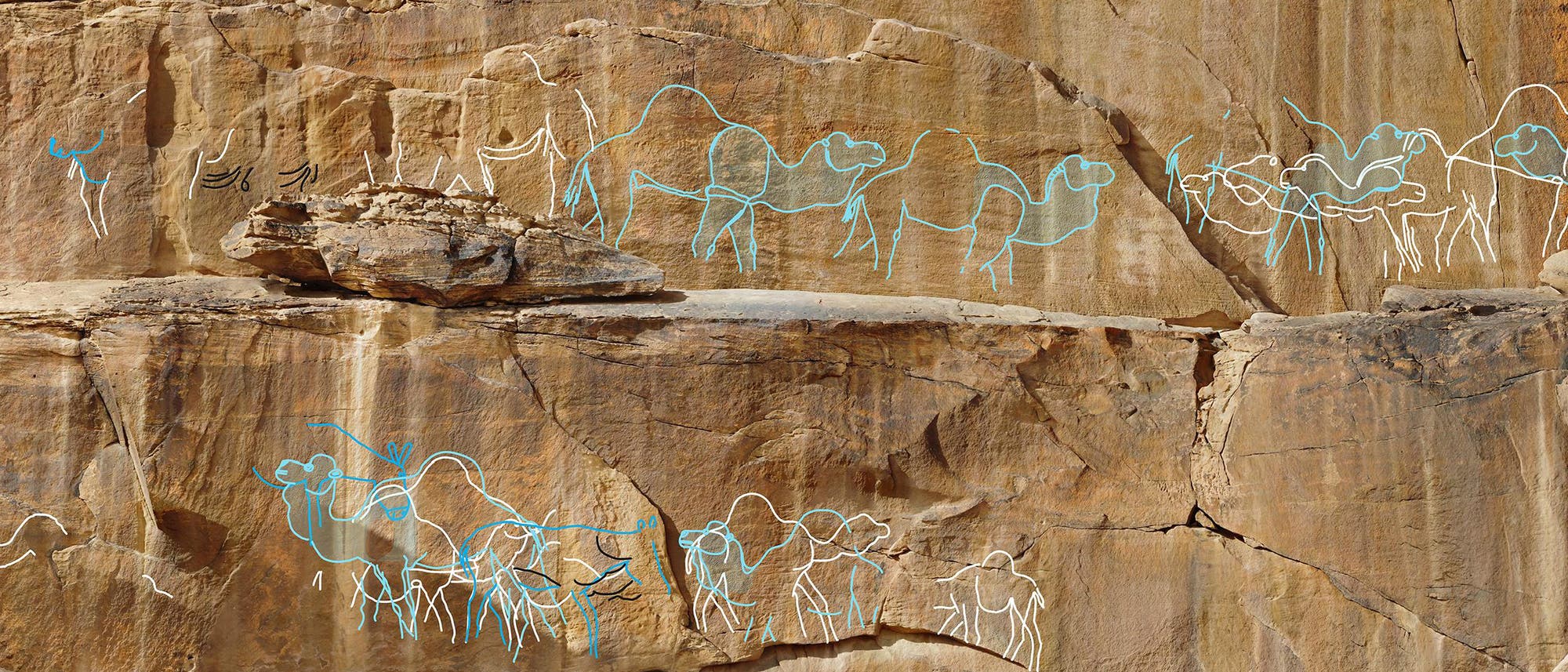 Felswand mit eingravierten Skizzen von Kamelen und Menschen. Die Zeichnungen sind in hellen Linien gehalten und zeigen mehrere Kamele in einer Karawane, begleitet von menschlichen Figuren. Die Gravuren sind auf einer natürlichen Felsoberfläche angebracht, die eine sandige, erodierte Textur aufweist.