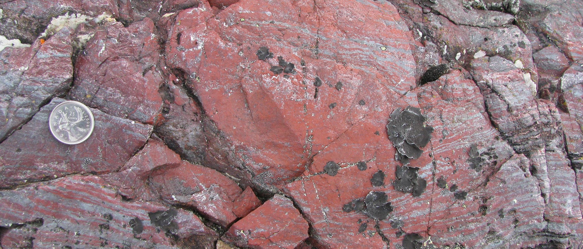 Die eisenreichen Mineralien enthalten womöglich die ältesten Spuren des Lebens auf der Erde