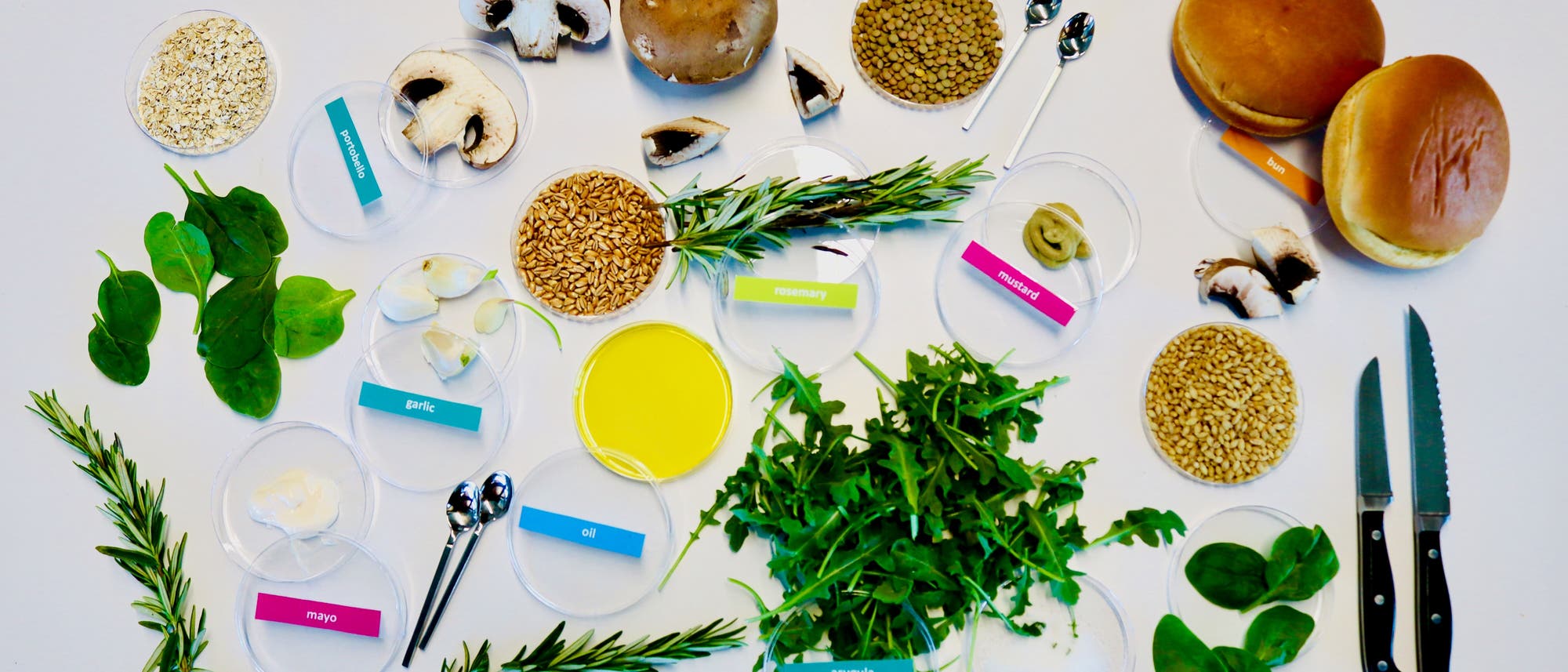 Eine Anordnung von Zutaten auf einem wei&szlig;en Hintergrund, die f&uuml;r die Zubereitung eines Gerichts verwendet werden k&ouml;nnten. Zu sehen sind Pilze, Spinatbl&auml;tter, Knoblauchzehen, Rosmarinzweige, Rucola, Senf, Mayonnaise, &Ouml;l, Haferflocken, Linsen, Weizenk&ouml;rner und zwei Br&ouml;tchen. Die Zutaten sind in kleinen, beschrifteten Schalen angeordnet. Zwei L&ouml;ffel und zwei Messer liegen daneben. Die Beschriftungen umfassen Begriffe wie "garlic", "mayo", "oil", "rosemary", "mustard", "arugula" und "bun".