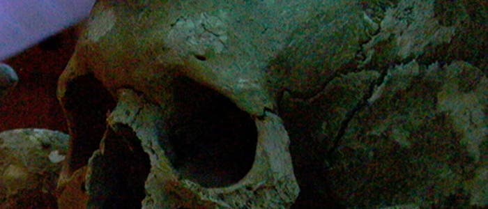 Neolithischer Schädel