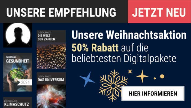 Unsere Adventsaktion: 50 % Weihnachtsrabatt!