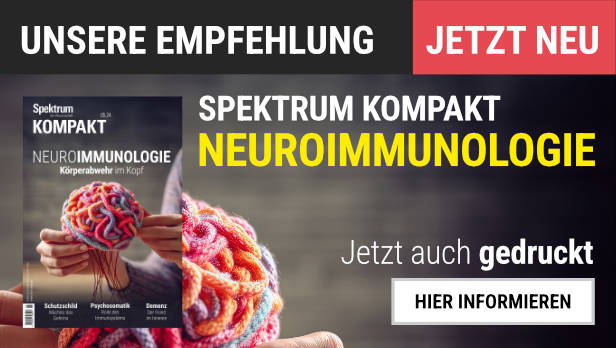 Unsere Empfehlung: Das »Spektrum Kompakt« zum Thema "Neuroimmunologie - Körperabwehr im Kopf". Jetzt auch gedruckt erhältlich. Cover: Bild von zwei Händen, die ein mit bunter Wolle gestricktes Gehirn in der Hand halten. Titelthemen: "Schutzschild - Wächter des Gehirns", "Psychosomatik" und "Demenz"