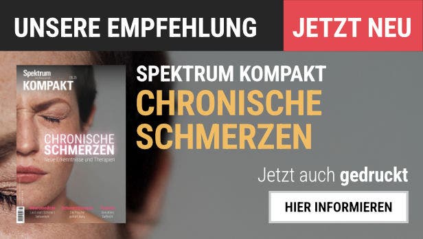 Eine Werbegrafik für "Spektrum Kompakt" mit dem Titel "Chronische Schmerzen". Links ist das Cover der Ausgabe mit einem Gesicht zu sehen. Rechts steht "Unsere Empfehlung" und "Jetzt neu" in großen Buchstaben. Darunter der Hinweis, dass die Ausgabe jetzt auch gedruckt erhältlich ist, mit einem Button "Hier informieren".