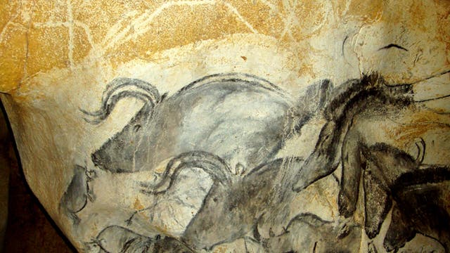 Geologen bestimmen Mindestalter der Chauvet-Höhlenbilder