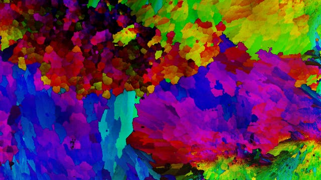 Farbig markierte Domänen im Kalkskelett einer Koralle, die aus separat hergestellten Klümpchen hervorgehen.
