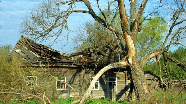 Verfallendes Haus im Sperrgebiet von Tschernobyl