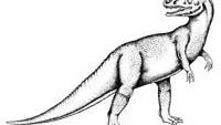 <i>Allosaurus</i>