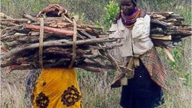 Frauen beim Holzsammeln
