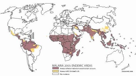 Malariaverbreitung