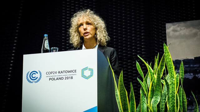 Eine Frau mit lockigem Haar spricht bei der COP24-Klimakonferenz in Kattowitz, Polen, 2018. Sie steht hinter einem Rednerpult mit dem Logo der Konferenz und einer Wasserflasche darauf. Im Vordergrund sind grüne Pflanzen zu sehen.