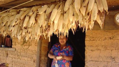 Maisbäuerin in Oaxaca