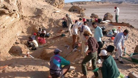 Ausgrabung am Wadi Gawasis