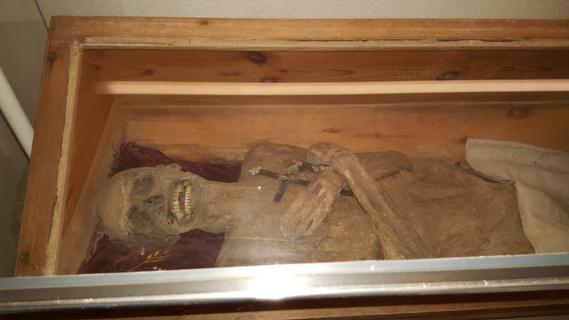 Eine Mumie liegt in einem hölzernen Sarg mit Glasabdeckung. Die Mumie hält ein kleines Kreuz in den Händen, die auf der Brust gefaltet sind. Der Sarg ist innen mit einem roten Stoff ausgekleidet. Die Szene befindet sich in einem beleuchteten Raum.