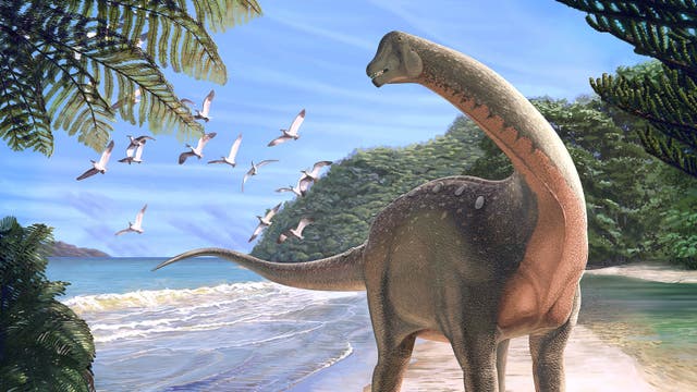 Rekonstruierter Titanosaurier Mansourasaurus shahinae