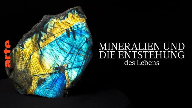 Mineralien und die Entstehung des Lebens