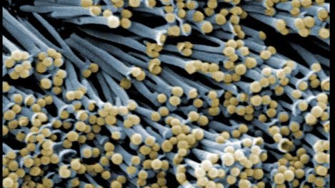 Verkorkte Nanoröhrchen