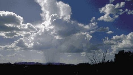 Cumuluswolken über Organ Pipe Cactus (Arizona)