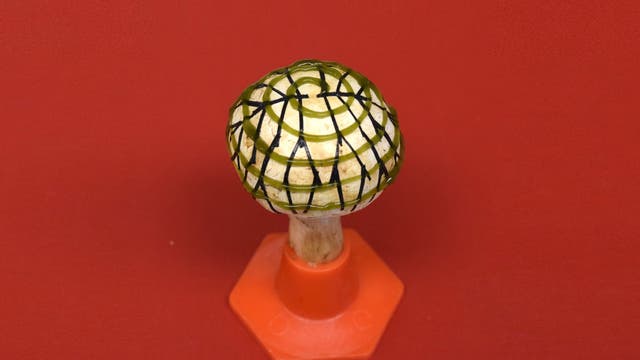 Auf den Hut des Pilzes ist ein hübsches Muster aus Linien und Spiralen gedruckt, das Strom erzeugt.