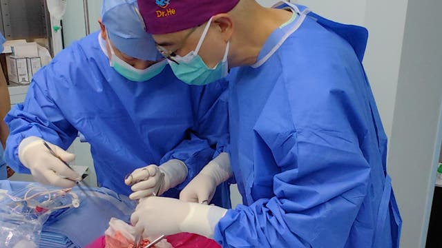 Zwei Chirurgen in blauen OP-Kitteln und Masken stehen über einem Operationstisch, auf dem chirurgische Instrumente und das Operationsfeld zu sehen sind.