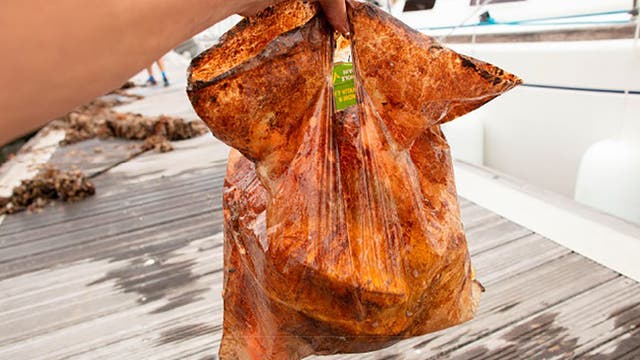 Biologisch abbaubarer Kunststoffbeutel nach drei Jahren im Meerwasser