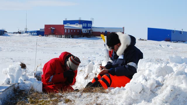 Zwei Forscher untersuchen die Schneestruktur in der sibirischen Tundra
