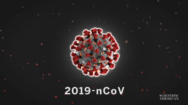 Wie schnell breitet das neue Coronavirus sich aus?
