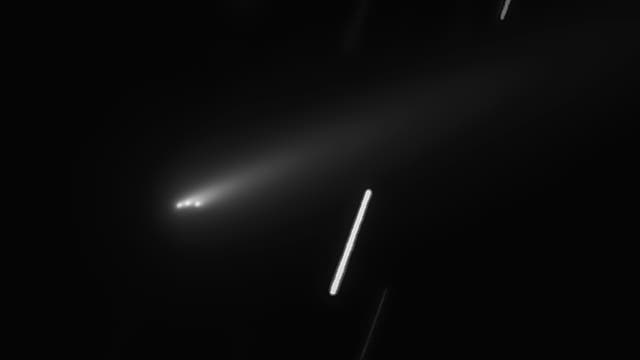 Ein astronomisches Bild zeigt einen Kometen mit einem leuchtenden Kern und einem langen, diffusen Schweif, der sich nach rechts erstreckt. Der Hintergrund ist schwarz, was den Kometen hervorhebt. Mehrere helle, diagonale Linien sind sichtbar, die Sterne darstellen, die durch die Bewegung der Kamera während der Aufnahme entstanden sind.