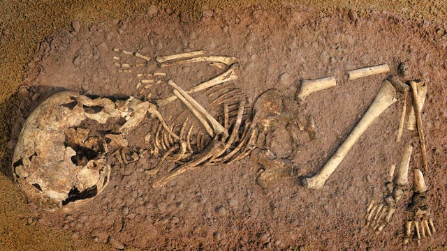 7500 Jahre altes Skelett der Bandkeramiker