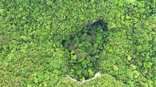Luftbild eines Ökosystems: Im dichten Regenwald Südchinas mit vielen unterschiedlich grünen Baumarten klafft ein Loch, in dem ebenfalls unterschiedliche Pflanzenarten wachsen. Das Loch wird umgrenzt von steilen, kalkweißen Felsen.