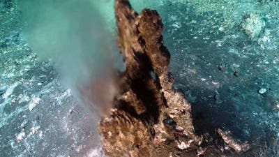 Hydrothermalquelle am Axial-Vulkan