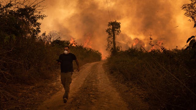 Ein Mann flieht vor den Feuern im Pantanal