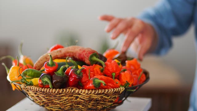 Ein Korb voller bunter Paprikaschoten, darunter rote, grüne und orangefarbene Sorten, steht auf einem Tisch. Eine Hand greift nach einer der Paprikaschoten. Der Hintergrund ist unscharf, was den Fokus auf die Paprikaschoten lenkt.