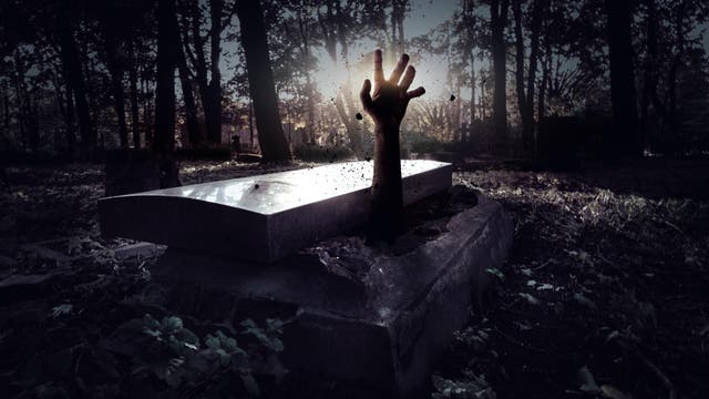 Eine Hand ragt aus einem Grabstein in einem dunklen, bewaldeten Friedhof hervor. Die Szene ist dramatisch beleuchtet, mit Sonnenlicht, das durch die Bäume scheint und die Hand hervorhebt. Blätter und Schatten umgeben das Grab, was eine unheimliche Atmosphäre schafft.