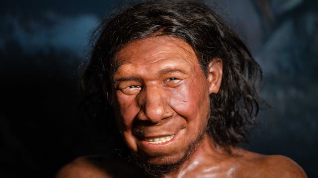 Eine realistische Darstellung eines prähistorischen Menschen mit langen, dunklen Haaren und einem freundlichen Gesichtsausdruck. Der Hintergrund ist dunkel und unscharf, was den Fokus auf die Gesichtszüge der Figur lenkt. Die Darstellung vermittelt einen Eindruck von Lebendigkeit und Detailreichtum.